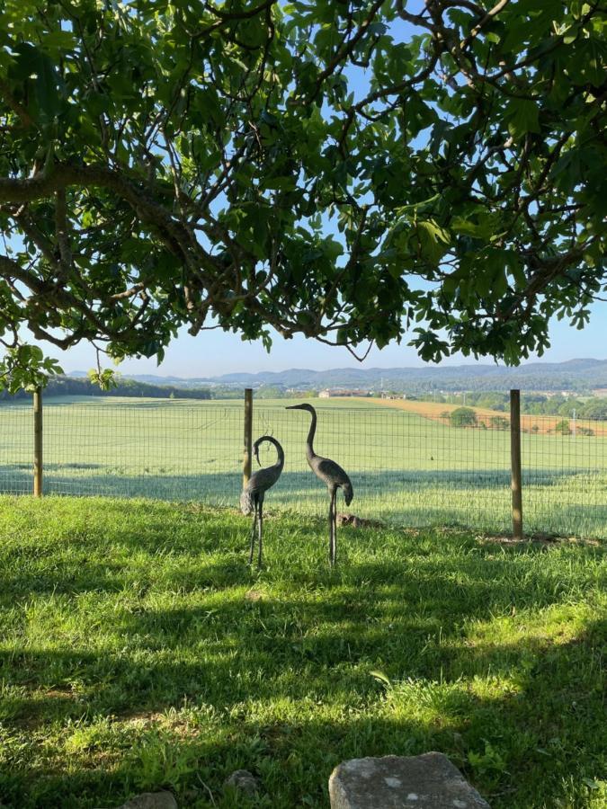 Mas Feliu Turismo Rural Pujals Dels Cavallers Dış mekan fotoğraf