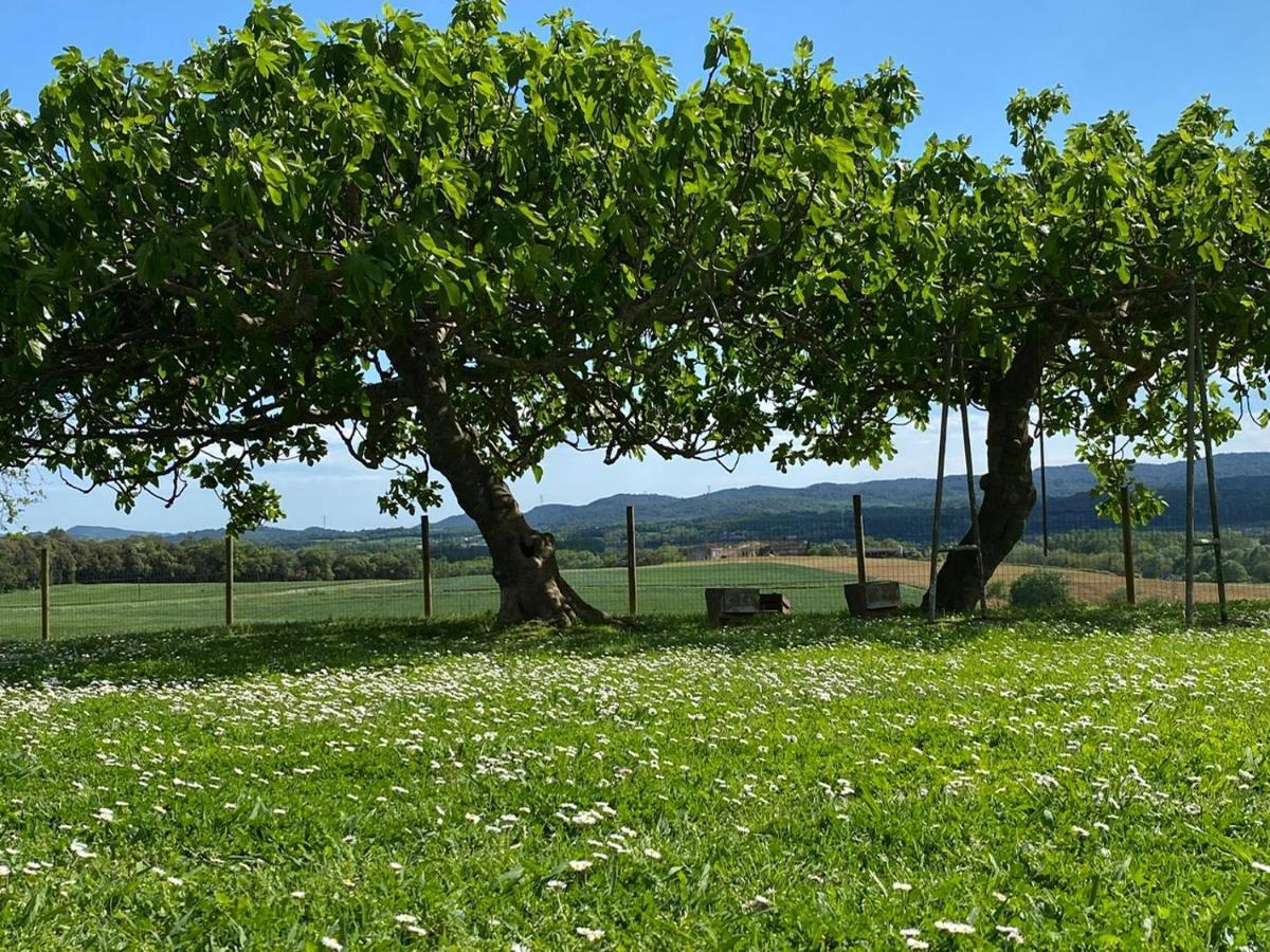 Mas Feliu Turismo Rural Pujals Dels Cavallers Dış mekan fotoğraf