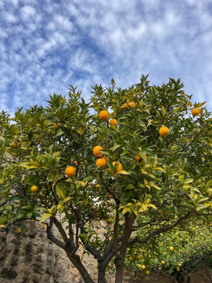 Mas Feliu Turismo Rural Pujals Dels Cavallers Dış mekan fotoğraf